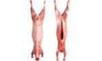 Whole Lamb Aqiqah
