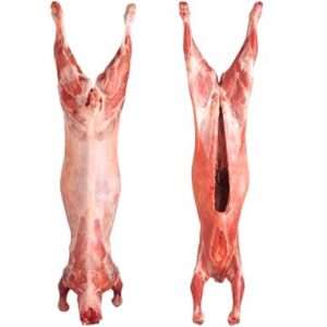 Whole Lamb Aqiqah