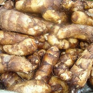 Arvi (Taro Root)