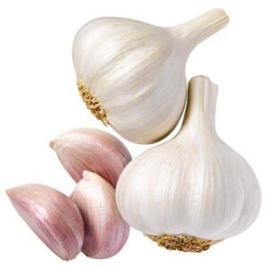 Garlic