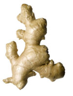 Ginger