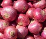 Onion - Red