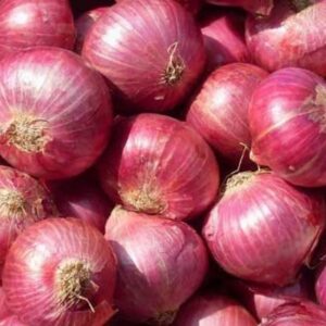 Onion - Red