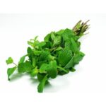 Fresh Mint