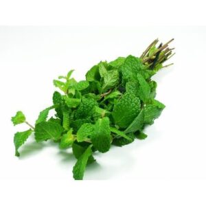 Fresh Mint