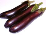 Aubergine Long