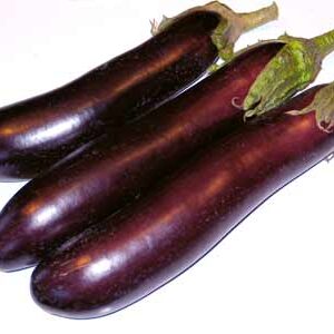 Aubergine Long