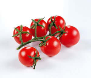Tomatoes - Cherry