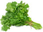 Fresh Parsley