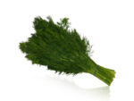 Fresh Dill