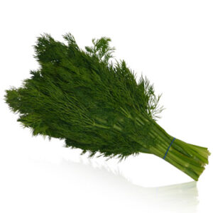 Fresh Dill