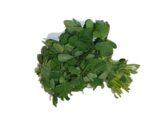 Fresh Methi (Fenugreek)