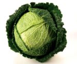 Cabbage Savoy