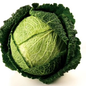 Cabbage Savoy