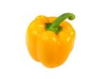 Pepper Yellow