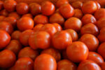 Tomatoes (Class 2)