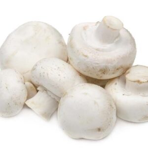 Mushroom - White