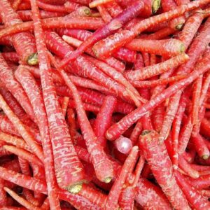 Desi Red Carrots