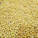 Roasted Chickpeas (Dariya) Whole - Nisha's