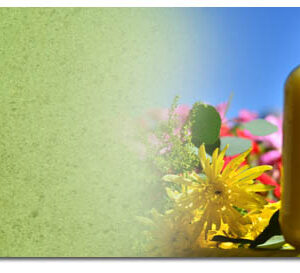 Oils & Ghee