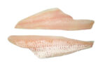 Fresh Haddock Fish - Medium